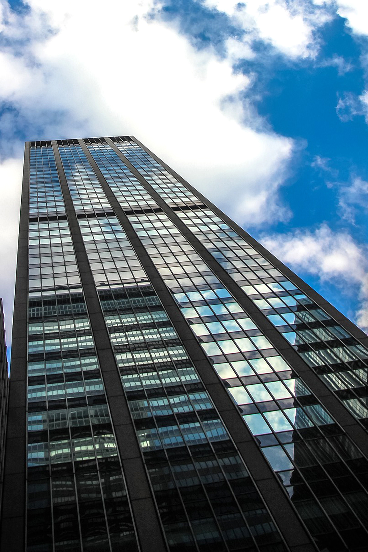 �λ�� ǥ��